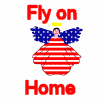 ameriyank angel flys home